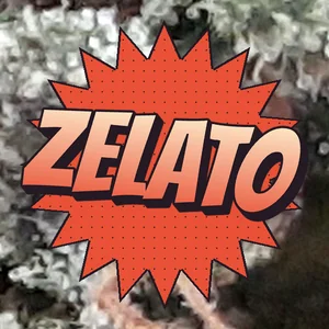 Zelato Cannabis Strain