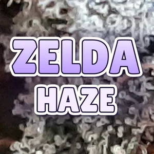 Zelda Haze Cannabis Strain