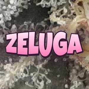 Zeluga Cannabis Strain