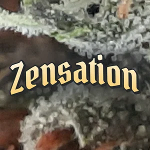 Zensation Cannabis Strain