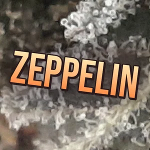 Zeppelin Cannabis Strain