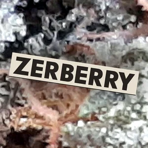 Zerberry Cannabis Strain