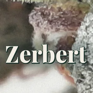 Zerbert Cannabis Strain