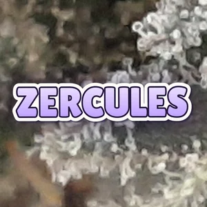 Zercules Cannabis Strain