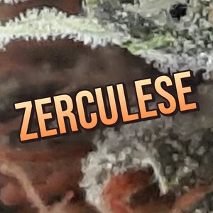 Zerculese Cannabis Strain