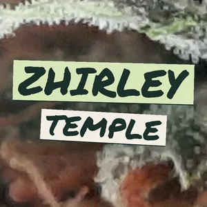 Zhirley Temple Cannabis Strain
