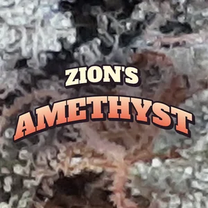 Zion's Amethyst Cannabis Strain
