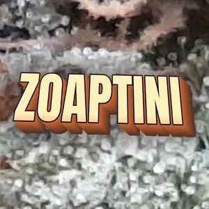 Zoaptini Cannabis Strain
