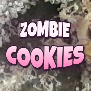 Zombie Cookies Cannabis Strain