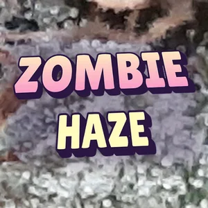 Zombie Haze Cannabis Strain