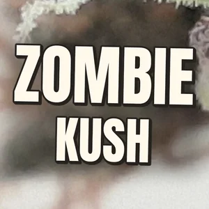 Zombie Kush Cannabis Strain
