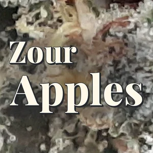 Zour Apples Cannabis Strain