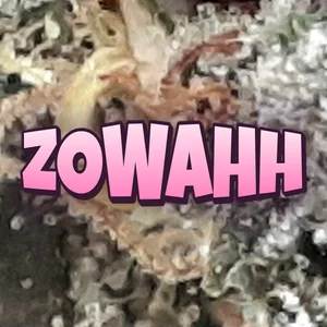 Zowahh Cannabis Strain