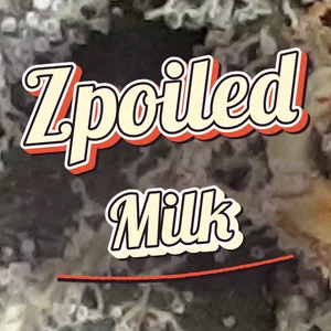 Zpoiled Milk Cannabis Strain