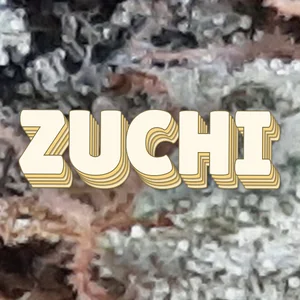 Zuchi Cannabis Strain