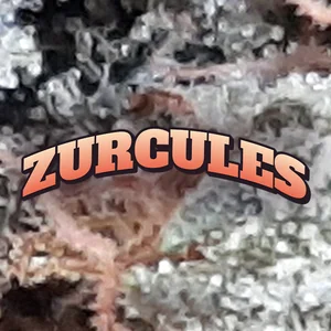 Zurcules Cannabis Strain